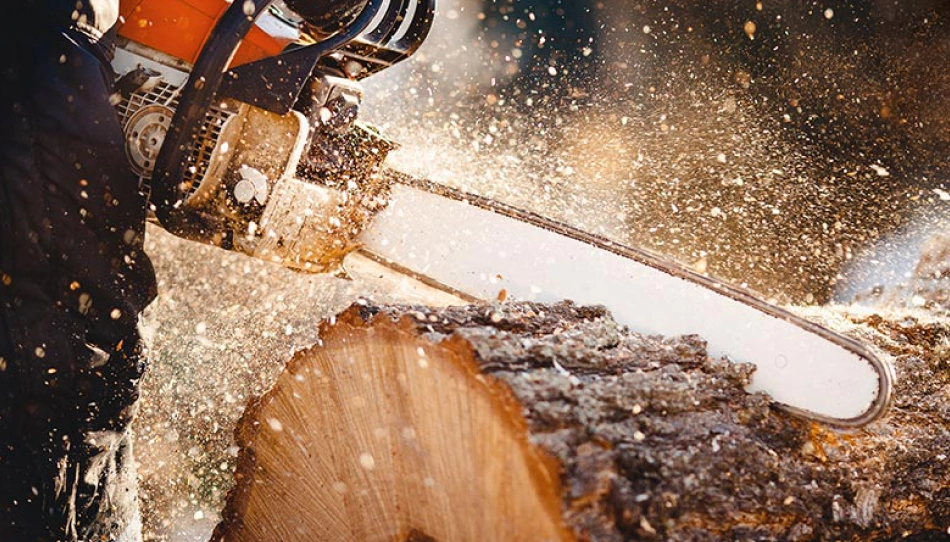 Tree Pruning Services